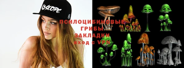кокс Алексин