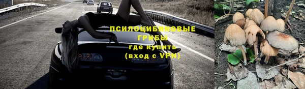 стаф Алексеевка