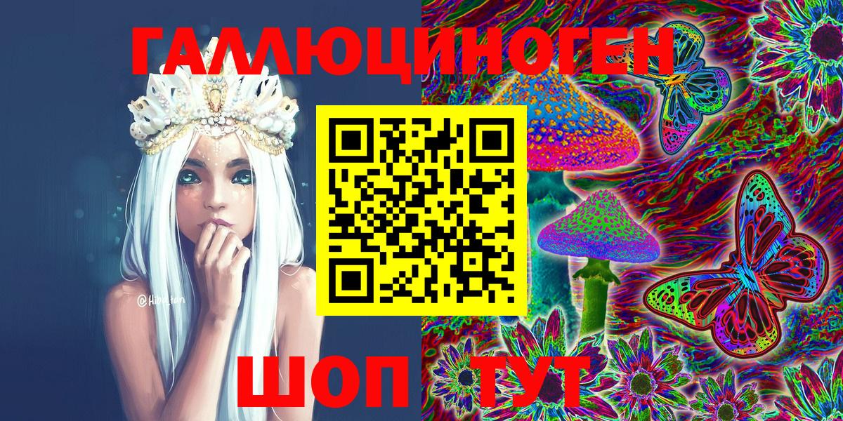 Псилоцибиновые грибы Psilocybe  Галлюциногенные грибы мухоморы  купить наркотики сайты  Аргун  Вход с VPN 