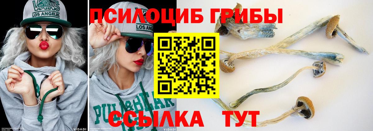 Галлюциногенные грибы прущие грибы Аргун