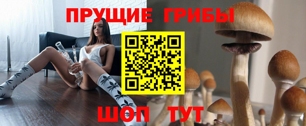 Псилоцибиновые грибы Magic Shrooms  Аргун 